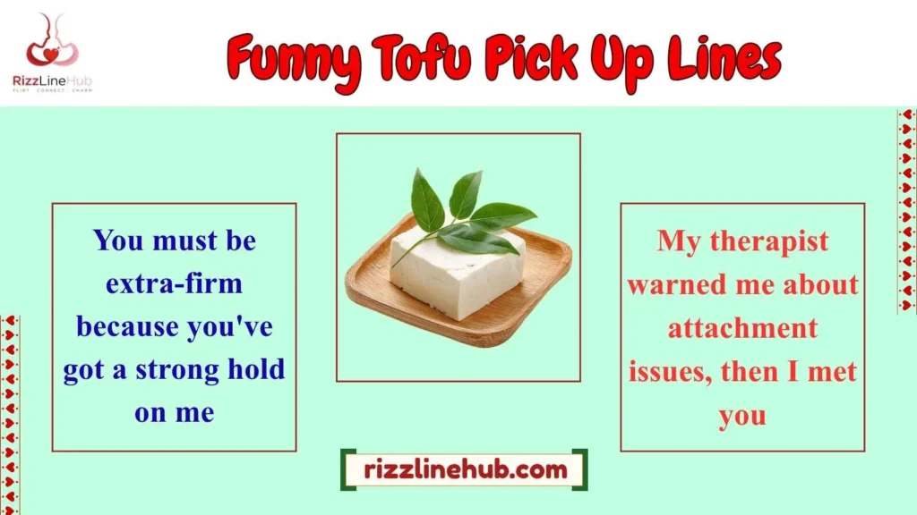Funny Tofu Pick Up Lines 